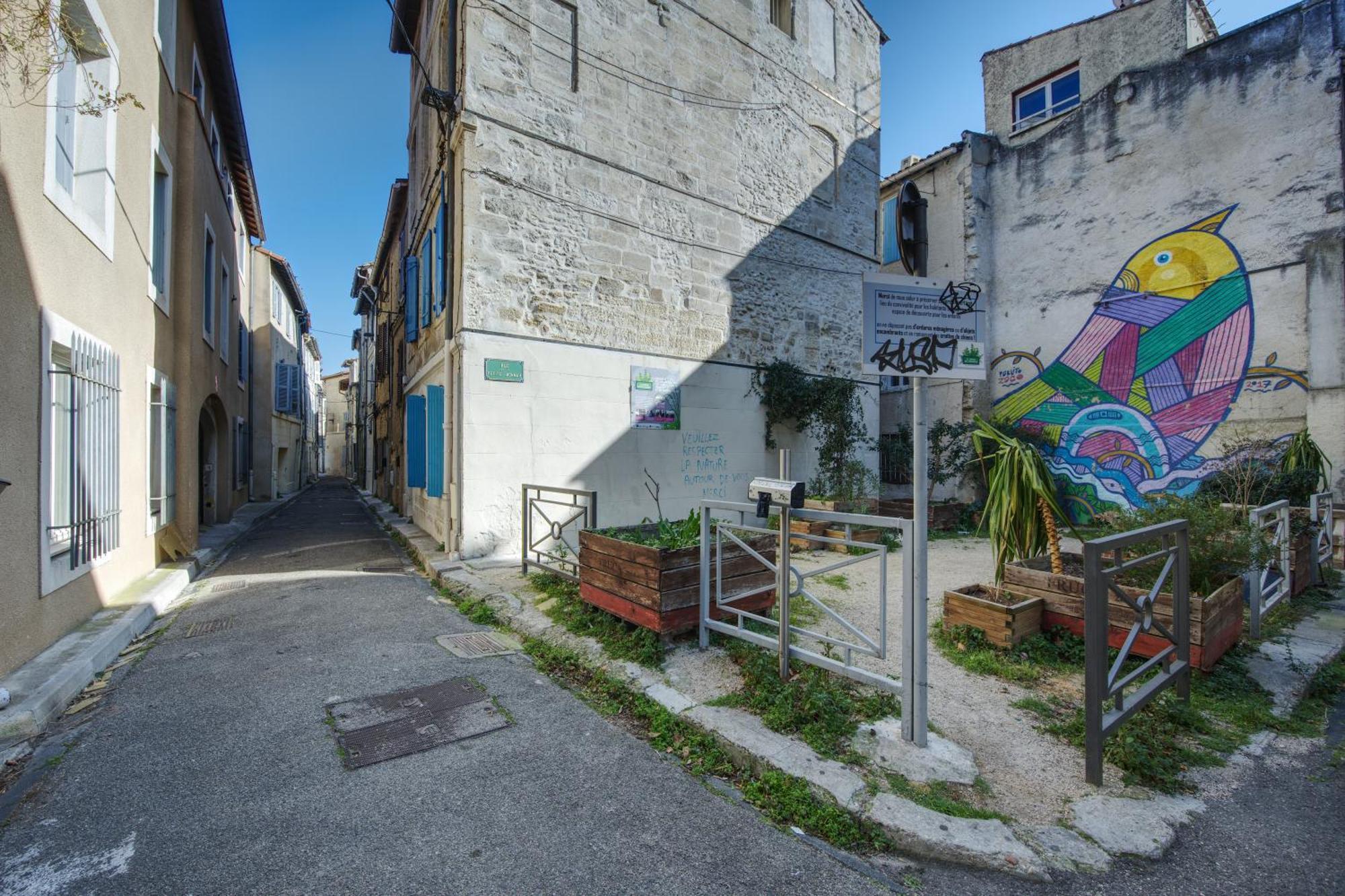Appartement Cosy Avignon Centre-Ville Екстер'єр фото